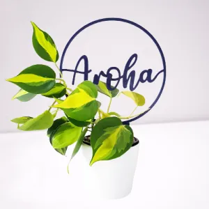 Aroha Climbing Frame