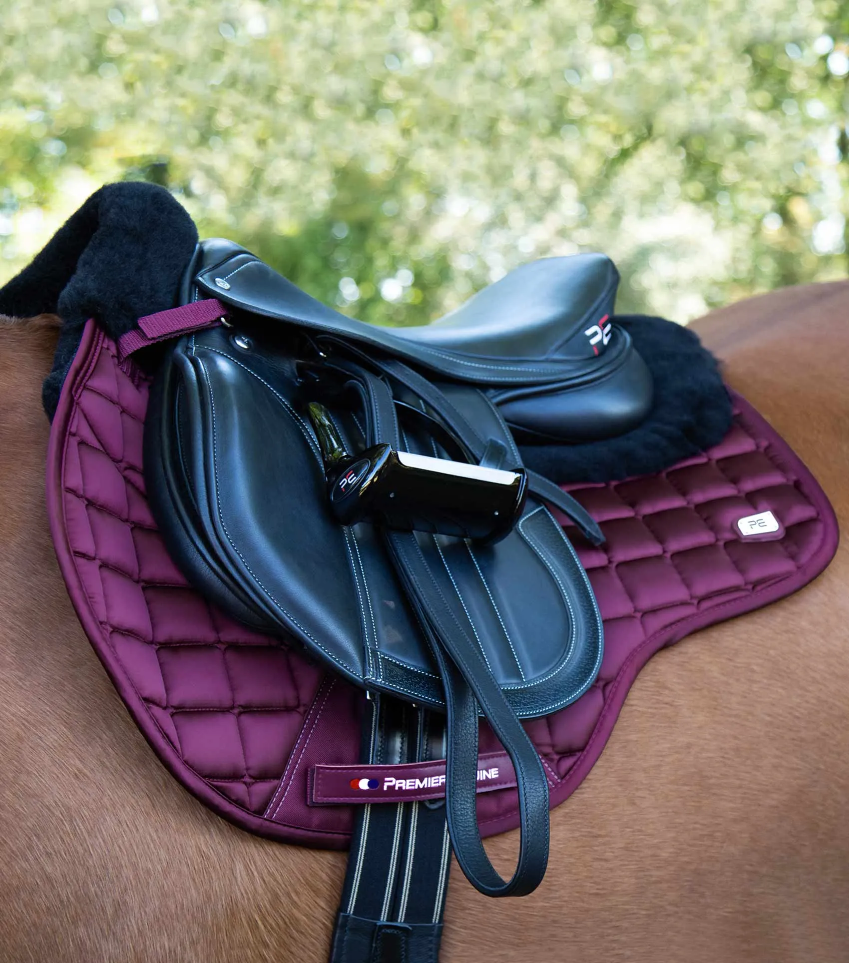 Atlantis CC Satin Wool GP/Jump Square Wine/Black Wool